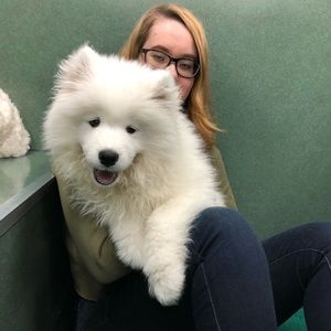 Meet your Posher, Annie